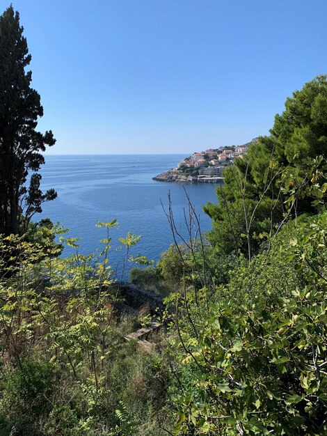 Scenic view of sea against clear blue sky