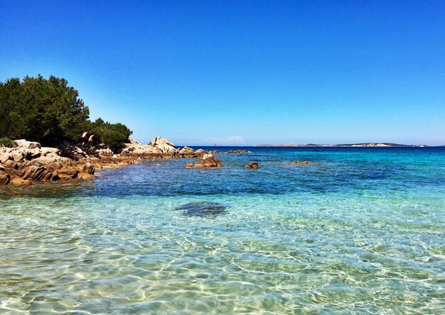 Scenic view of sea against clear blue sky