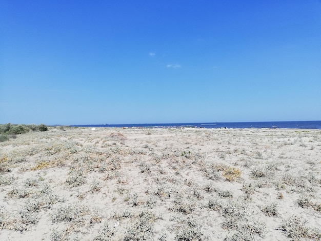 Scenic view of sea against clear blue sky