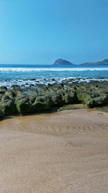 Scenic view of sea against clear blue sky