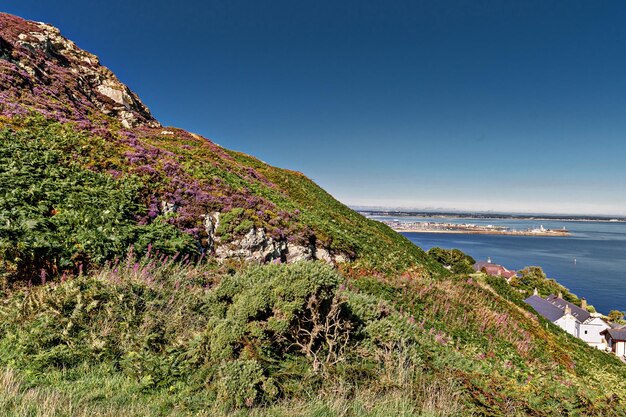 Scenic view of sea against clear blue sky