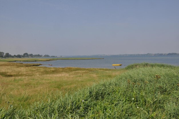 Scenic view of sea against clear blue sky