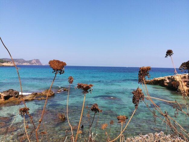 Foto la vista panoramica del mare contro un cielo blu limpido