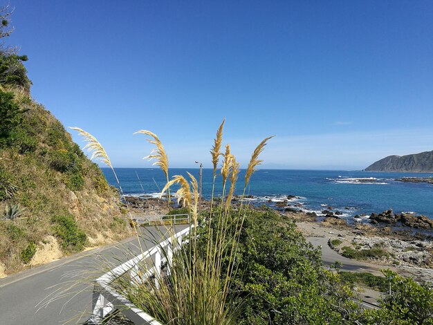 Scenic view of sea against clear blue sky