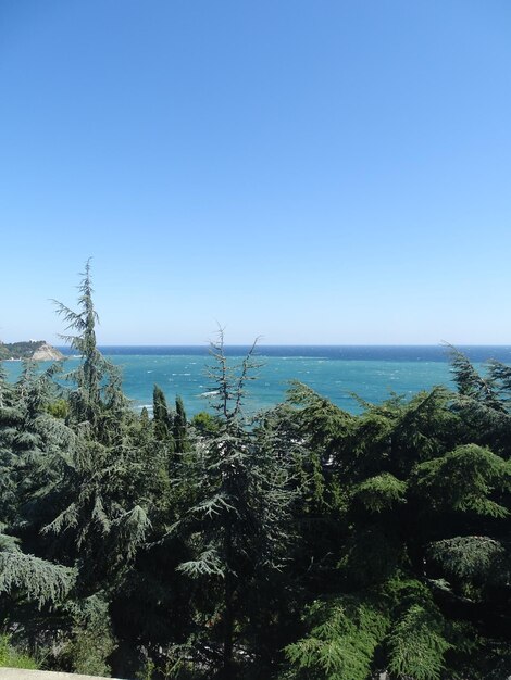 Scenic view of sea against clear blue sky