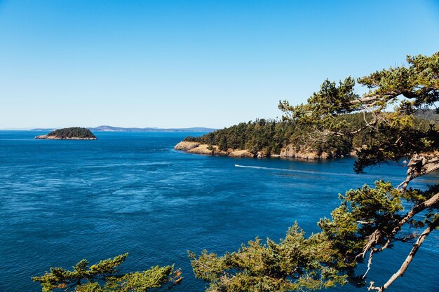 Scenic view of sea against clear blue sky