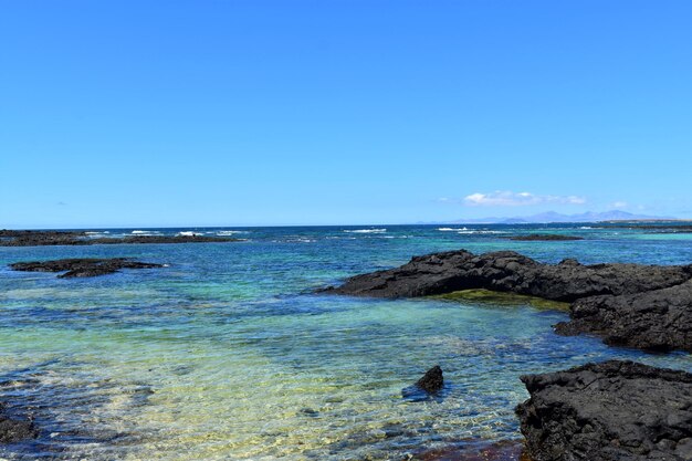 Scenic view of sea against clear blue sky