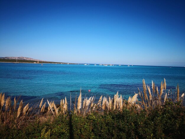 Scenic view of sea against clear blue sky