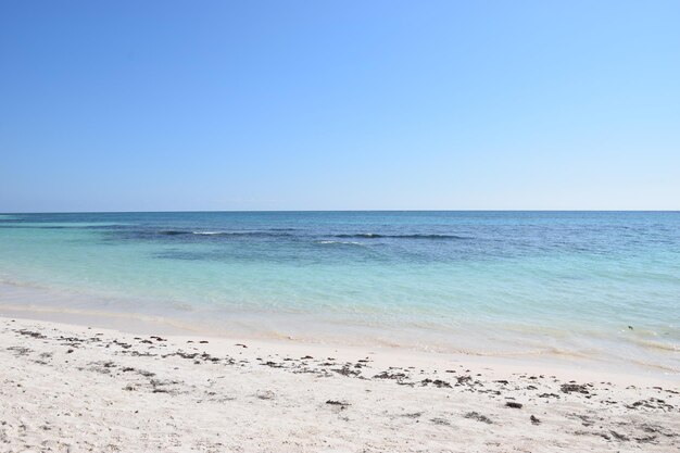 Scenic view of sea against clear blue sky