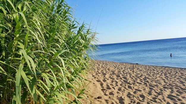 Scenic view of sea against clear blue sky