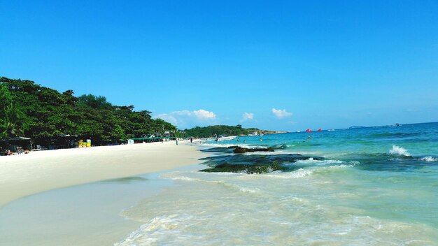 Scenic view of sea against clear blue sky