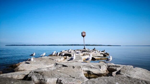 Scenic view of sea against clear blue sky