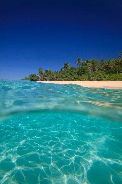 Scenic view of sea against clear blue sky