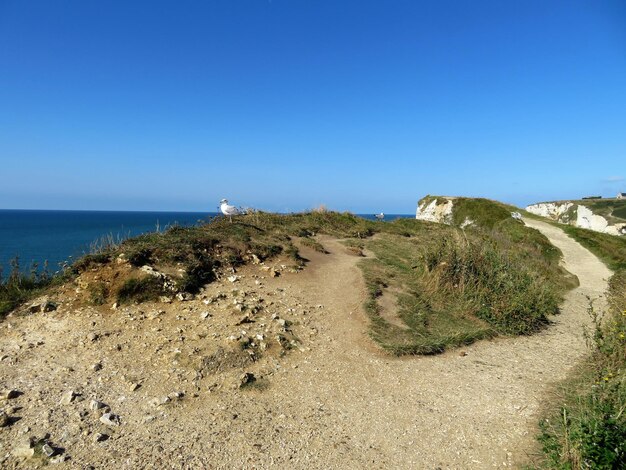 Scenic view of sea against clear blue sky