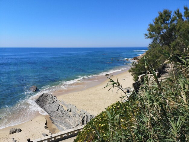 Scenic view of sea against clear blue sky