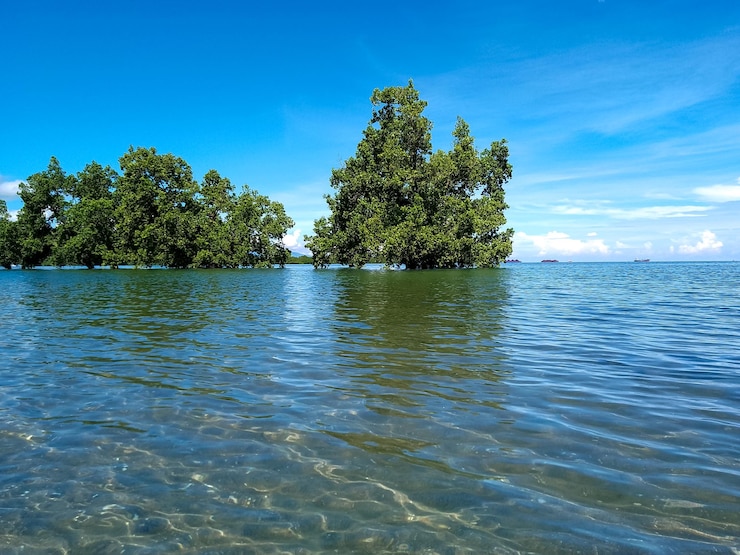 Фотография красивый вид на море на фоне чистого голубого неба