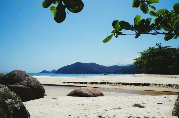 Scenic view of sea against clear blue sky