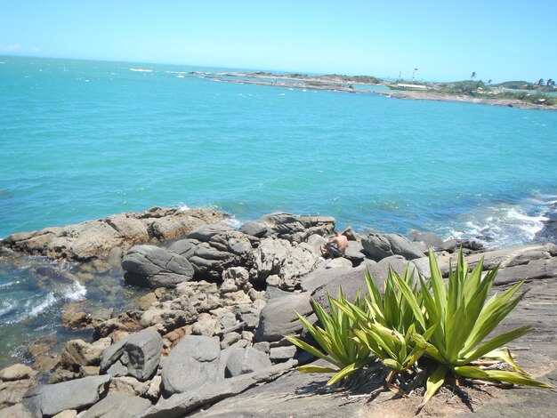 Scenic view of sea against clear blue sky