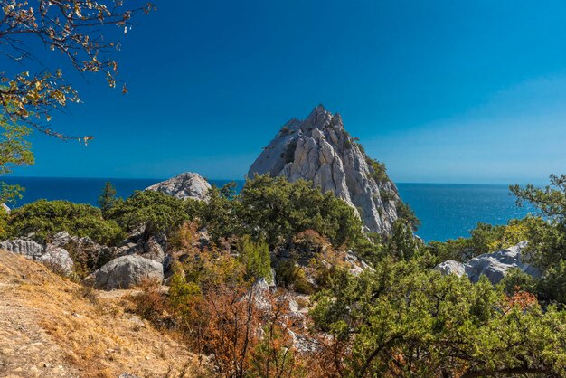 Scenic view of sea against clear blue sky