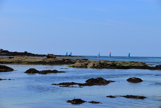 Scenic view of sea against clear blue sky