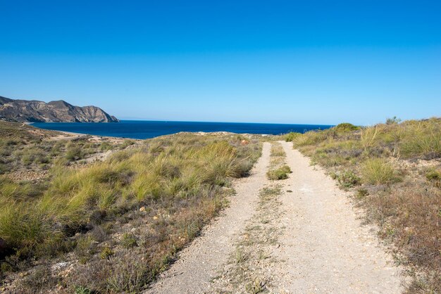 Foto la vista panoramica del mare contro un cielo blu limpido