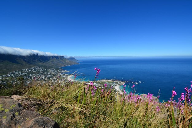 Scenic view of sea against clear blue sky