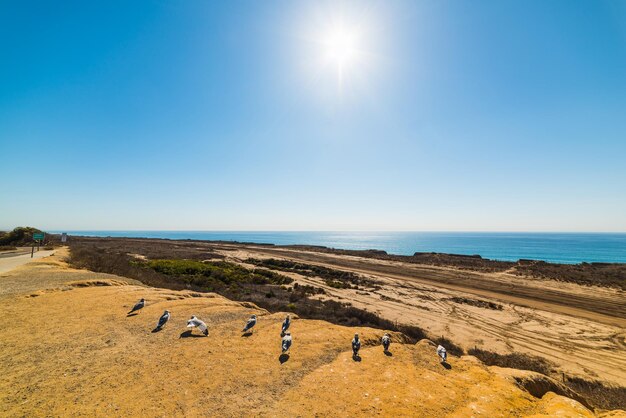 Scenic view of sea against clear blue sky