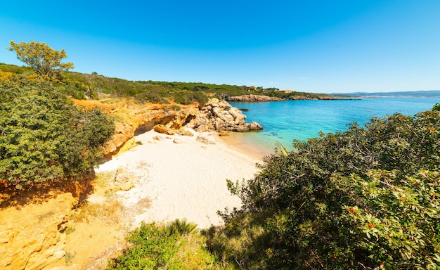 Foto vista panoramica del mare contro un cielo blu limpido