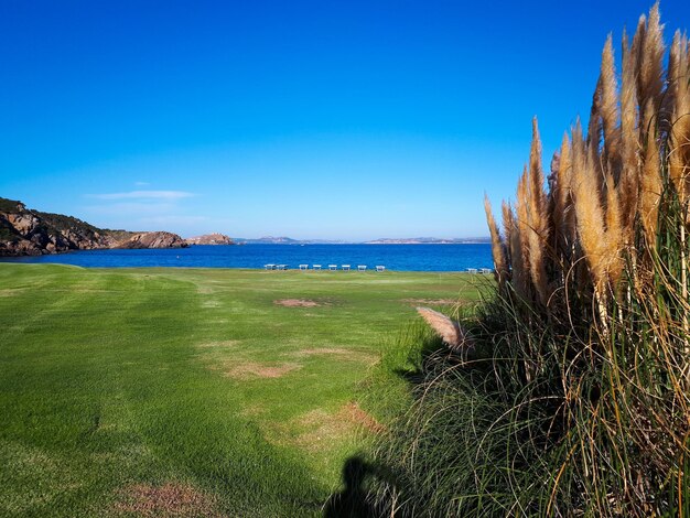 Scenic view of sea against clear blue sky