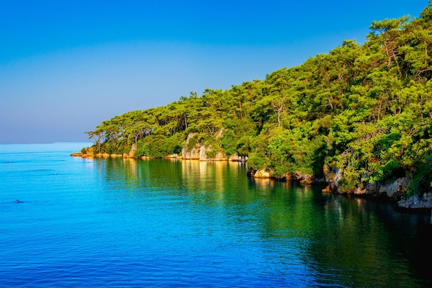 Scenic view of sea against clear blue sky