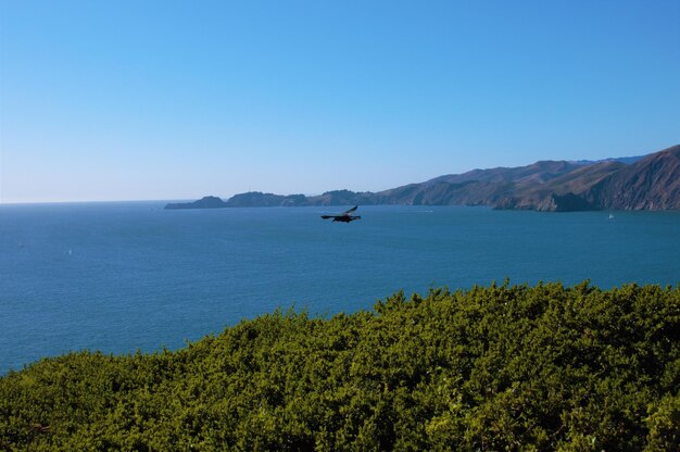 Scenic view of sea against clear blue sky