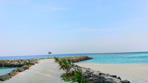 Scenic view of sea against clear blue sky