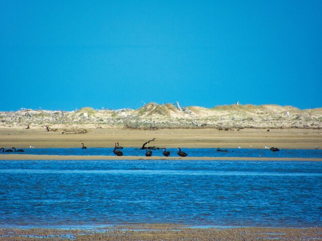 Scenic view of sea against clear blue sky