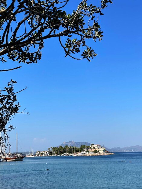 Scenic view of sea against clear blue sky