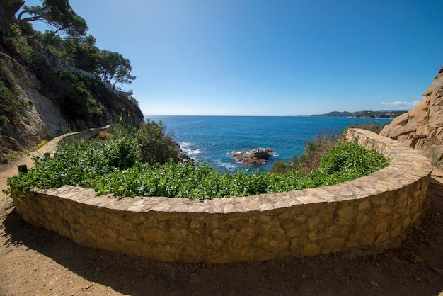 Foto vista panoramica del mare contro un cielo blu limpido