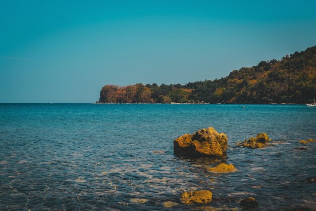 Scenic view of sea against clear blue sky