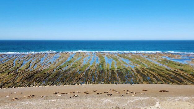 Foto la vista panoramica del mare contro un cielo blu limpido