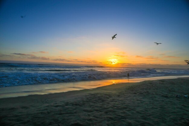 Scenic view of sea against clear sky during sunset