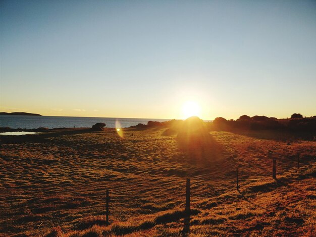 Photo scenic view of sea against clear sky during sunset