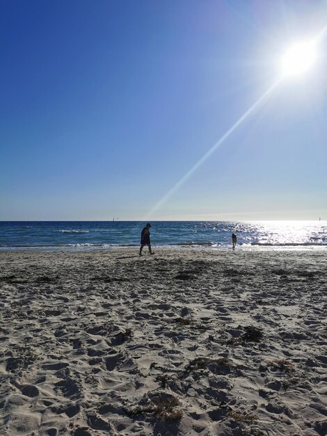 Scenic view of sea against clear sky on sunny day