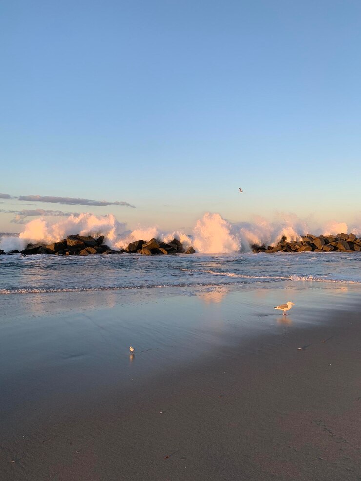 Photo 夕暮れ の 間 の 晴れ た 空 に 対し て の 海 の 景色