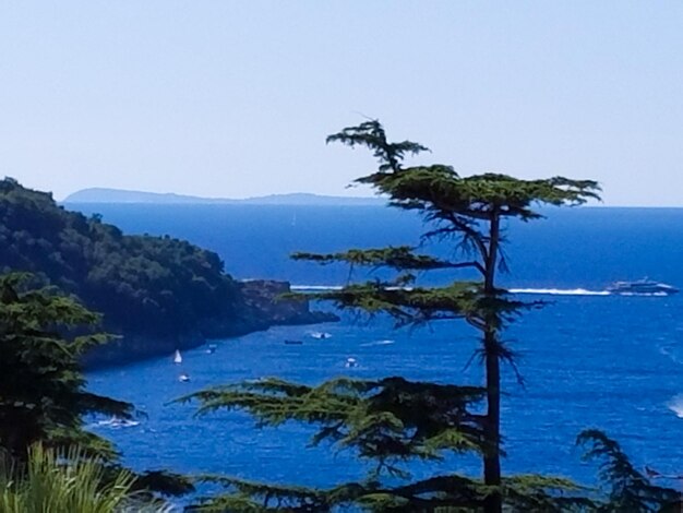 Scenic view of sea against clear sky