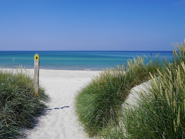 Scenic view of sea against clear sky