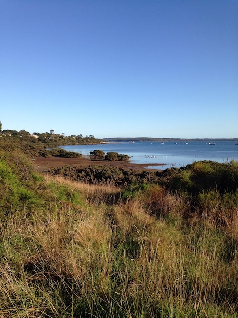 Photo scenic view of sea against clear sky