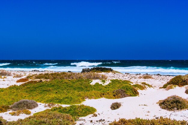 Scenic view of sea against clear sky