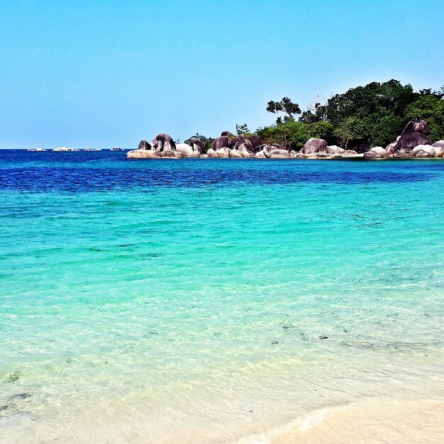 Scenic view of sea against clear sky