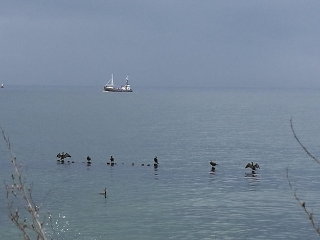 Scenic view of sea against clear sky