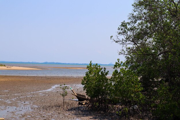 Scenic view of sea against clear sky