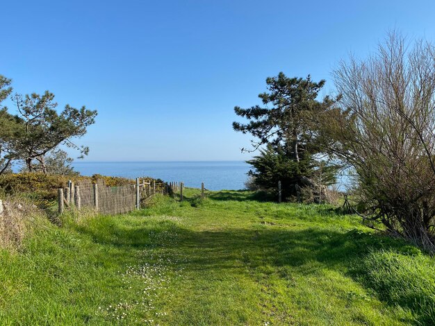 Scenic view of sea against clear sky