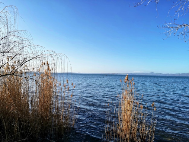 晴れた空を背景に海の景色